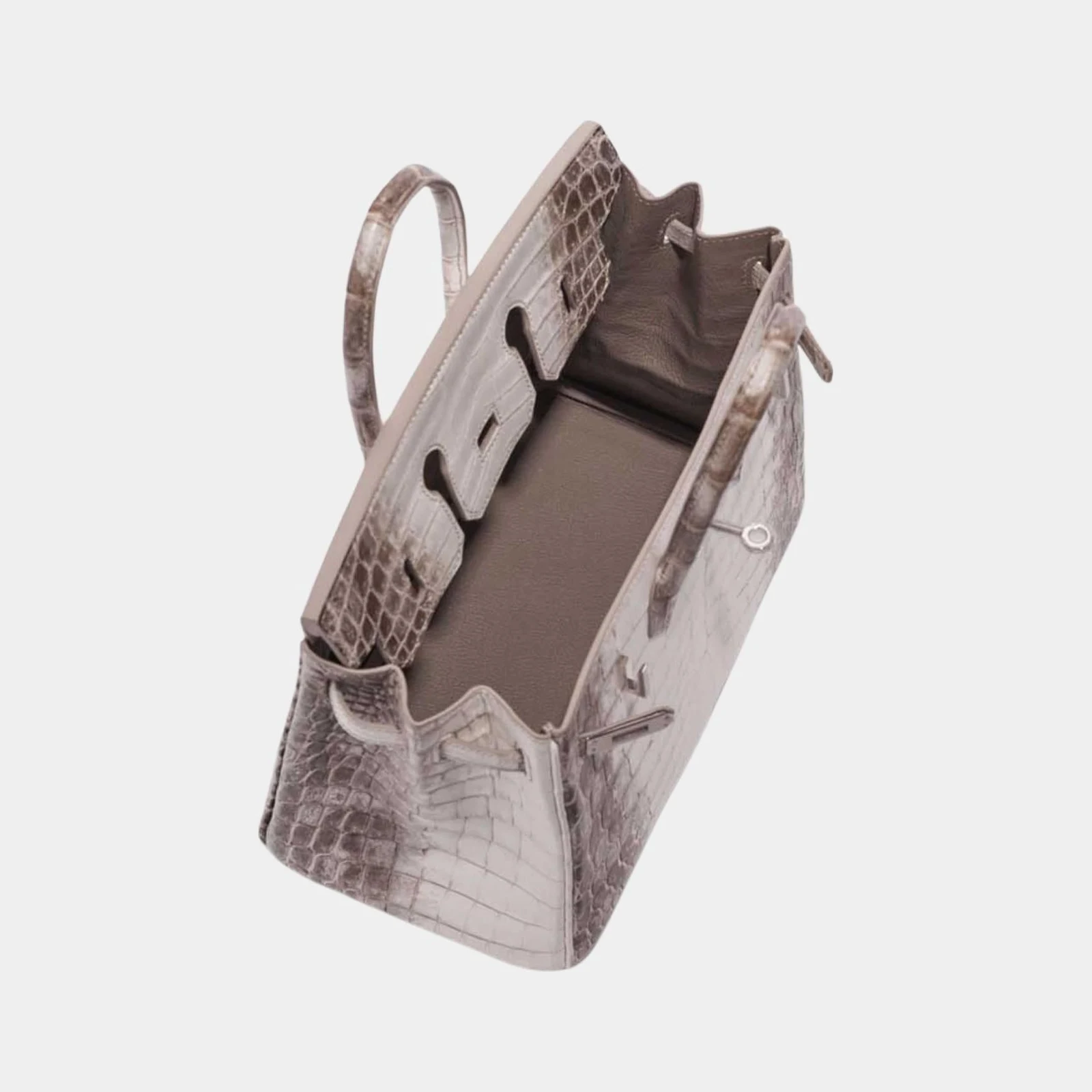 Hermès Birkin 25 Himalaya Niloticus Crocodile PHW