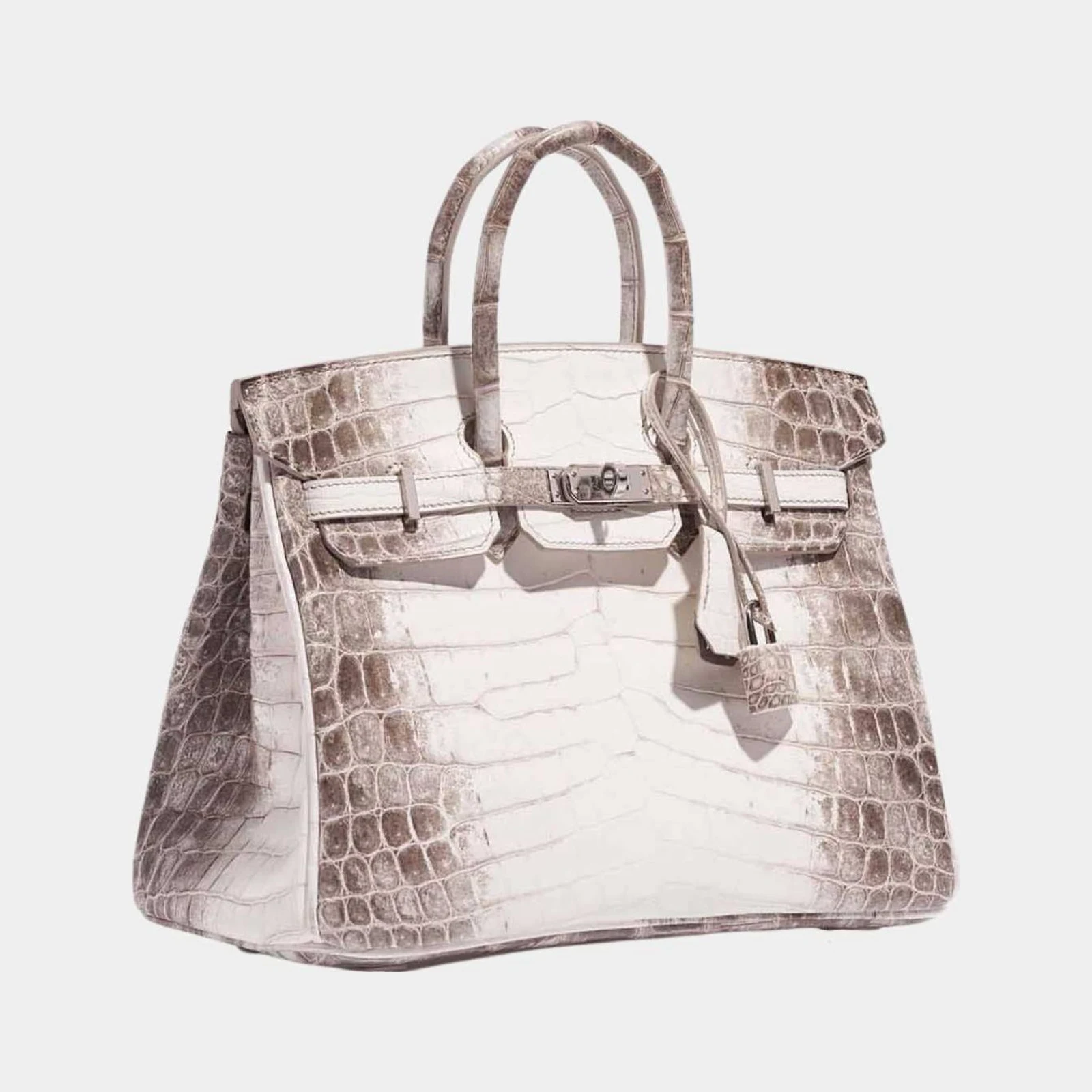 Hermès Birkin 25 Himalaya Niloticus Crocodile PHW