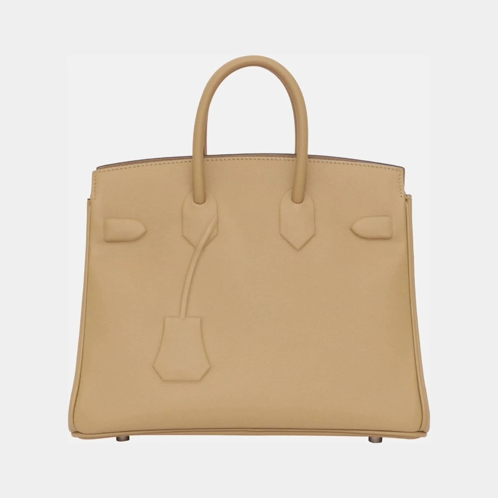 Hermès Birkin 25 Shadow Poussiere Swift