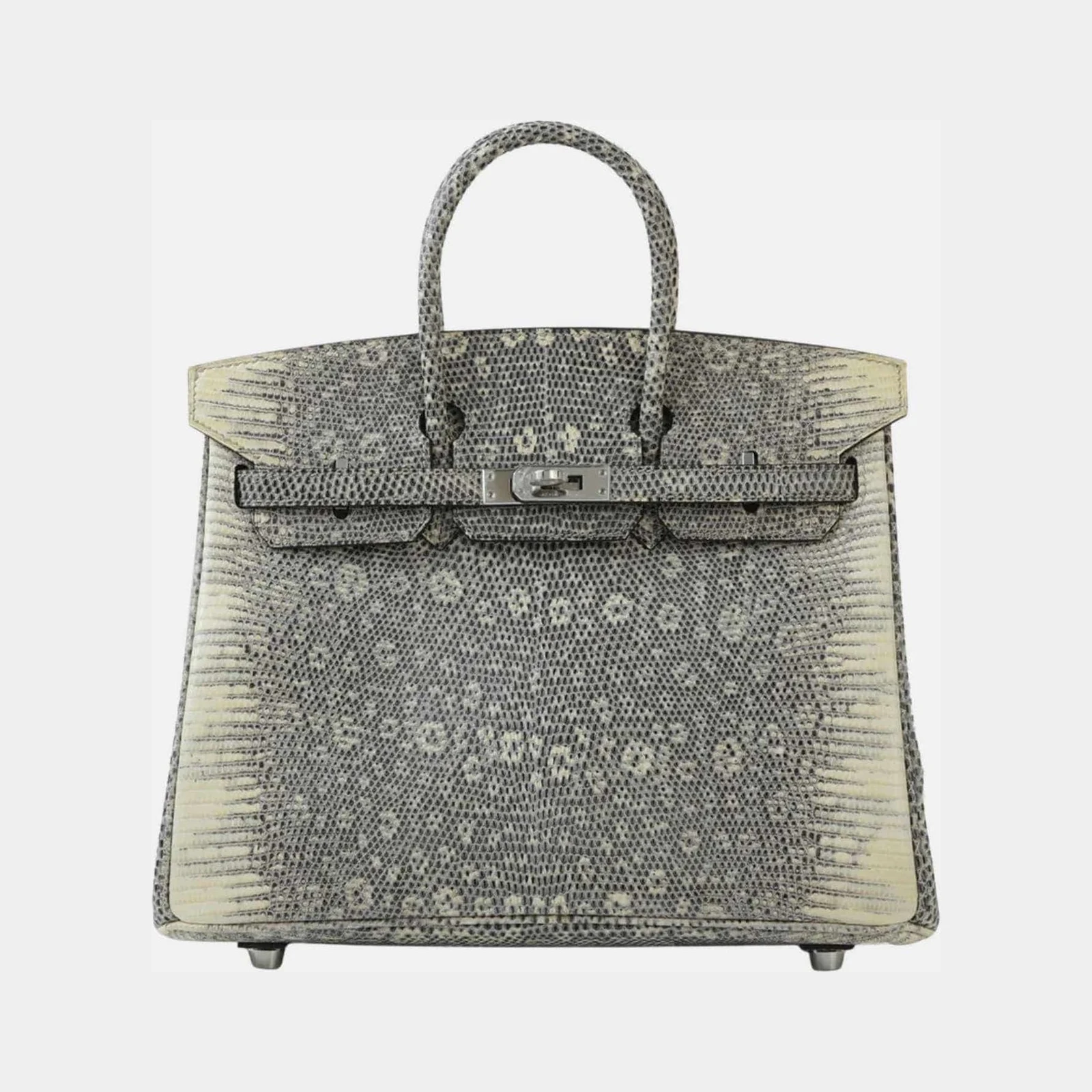 Hermès Birkin 25 Lizard Ombre PHW