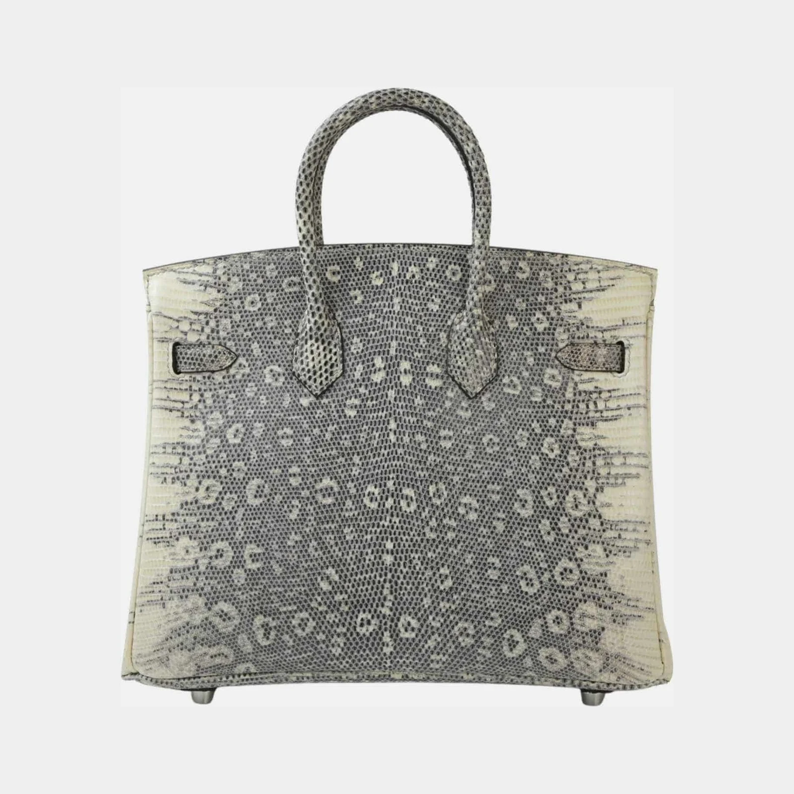 Hermès Birkin 25 Lizard Ombre PHW