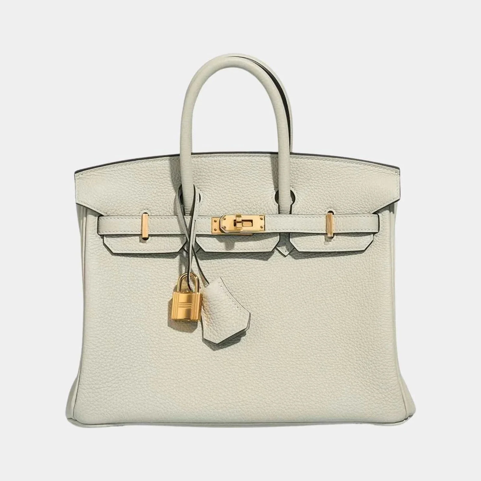 Hermès Birkin 25 Togo Gris Neve GHW