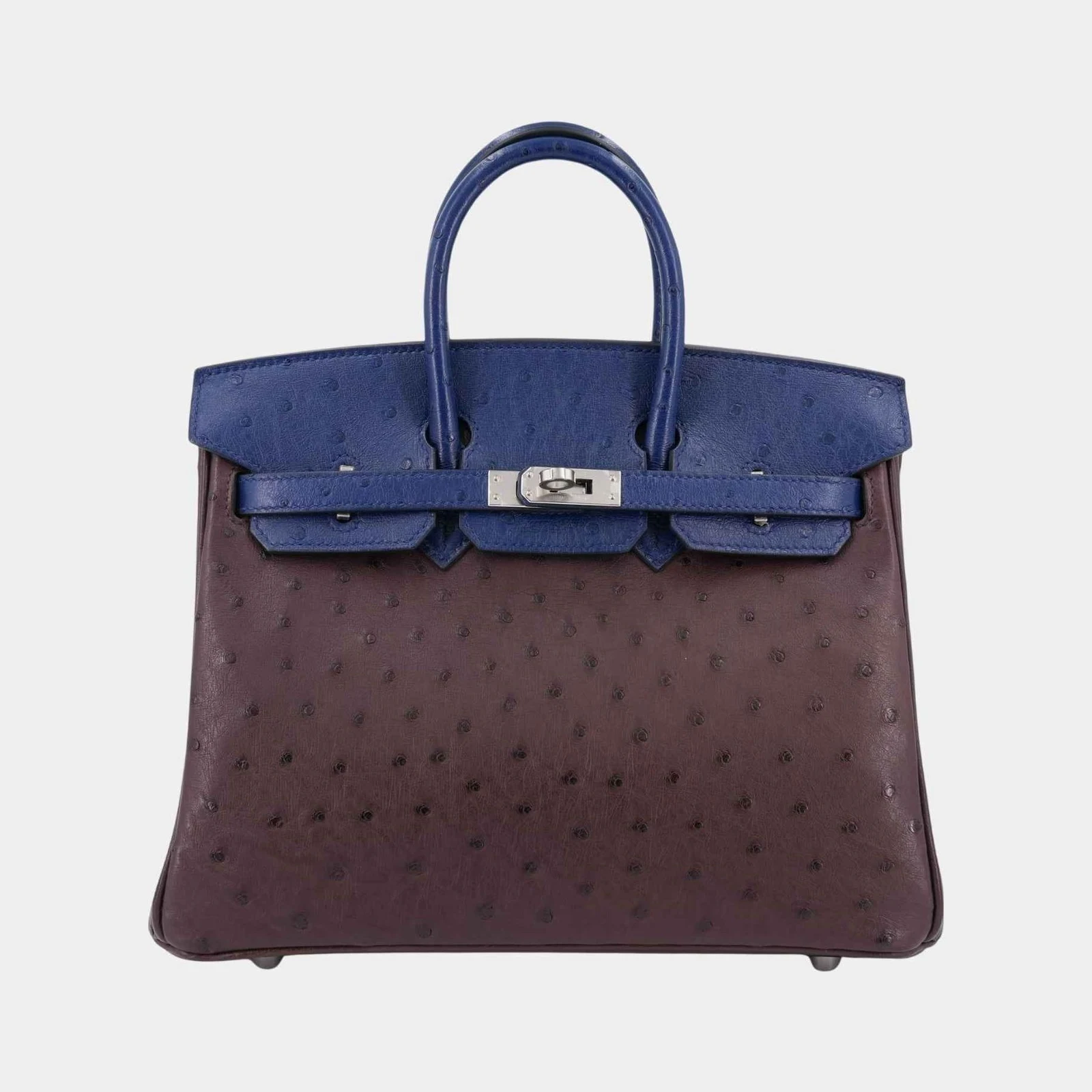 Hermès Birkin 25 Ostrich Rouge Sellier/Bleu Iris PHW