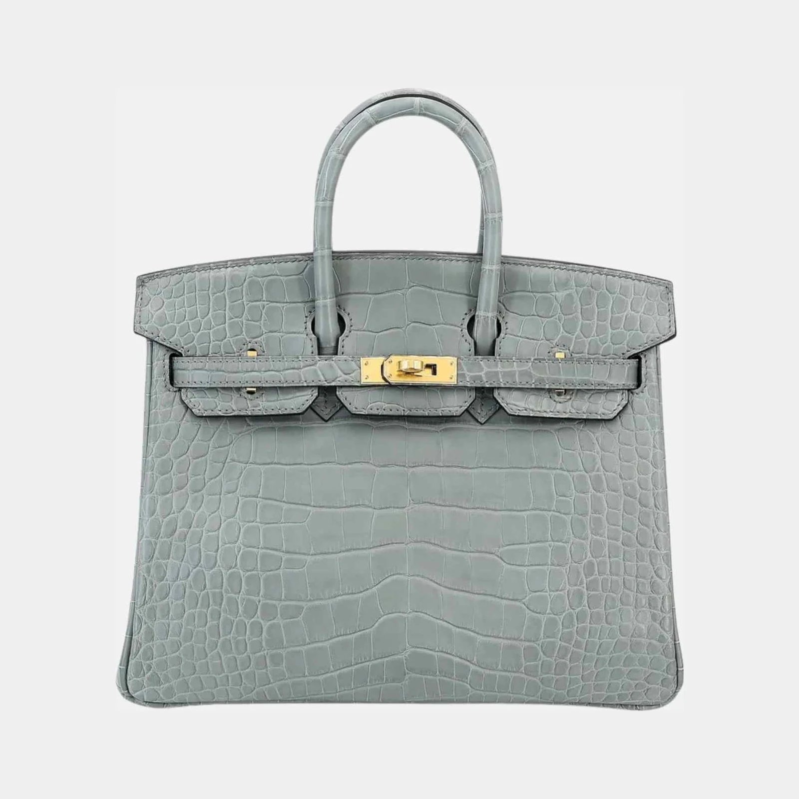 Hermès Birkin 25 Matte Alligator Gris Ciment GHW