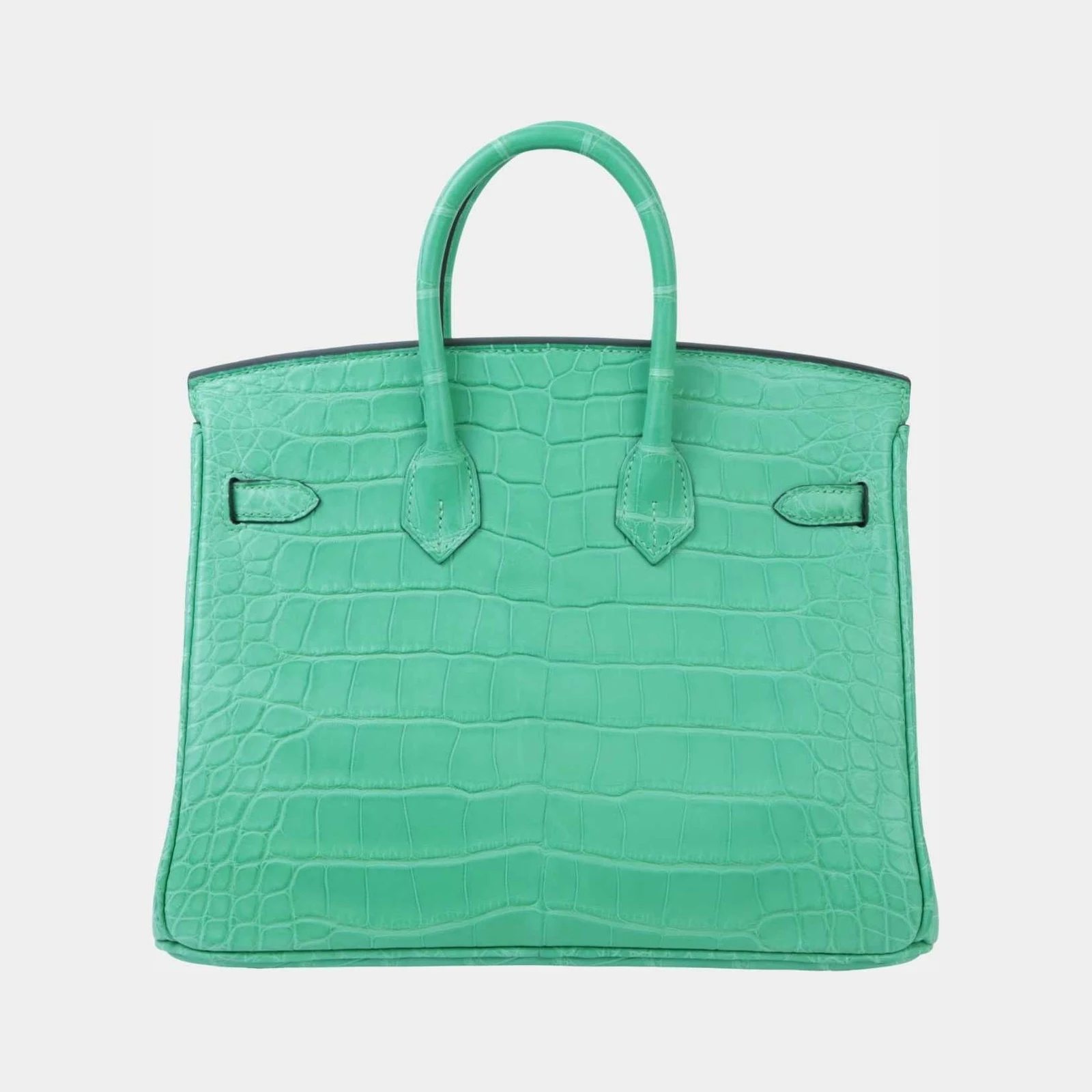 Hermès Birkin 25 Matte Alligator Vert Comics PHW