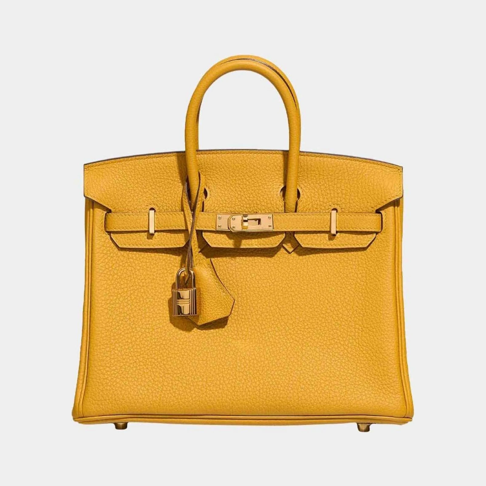 Hermès Birkin 25 Togo Jaune Ambre