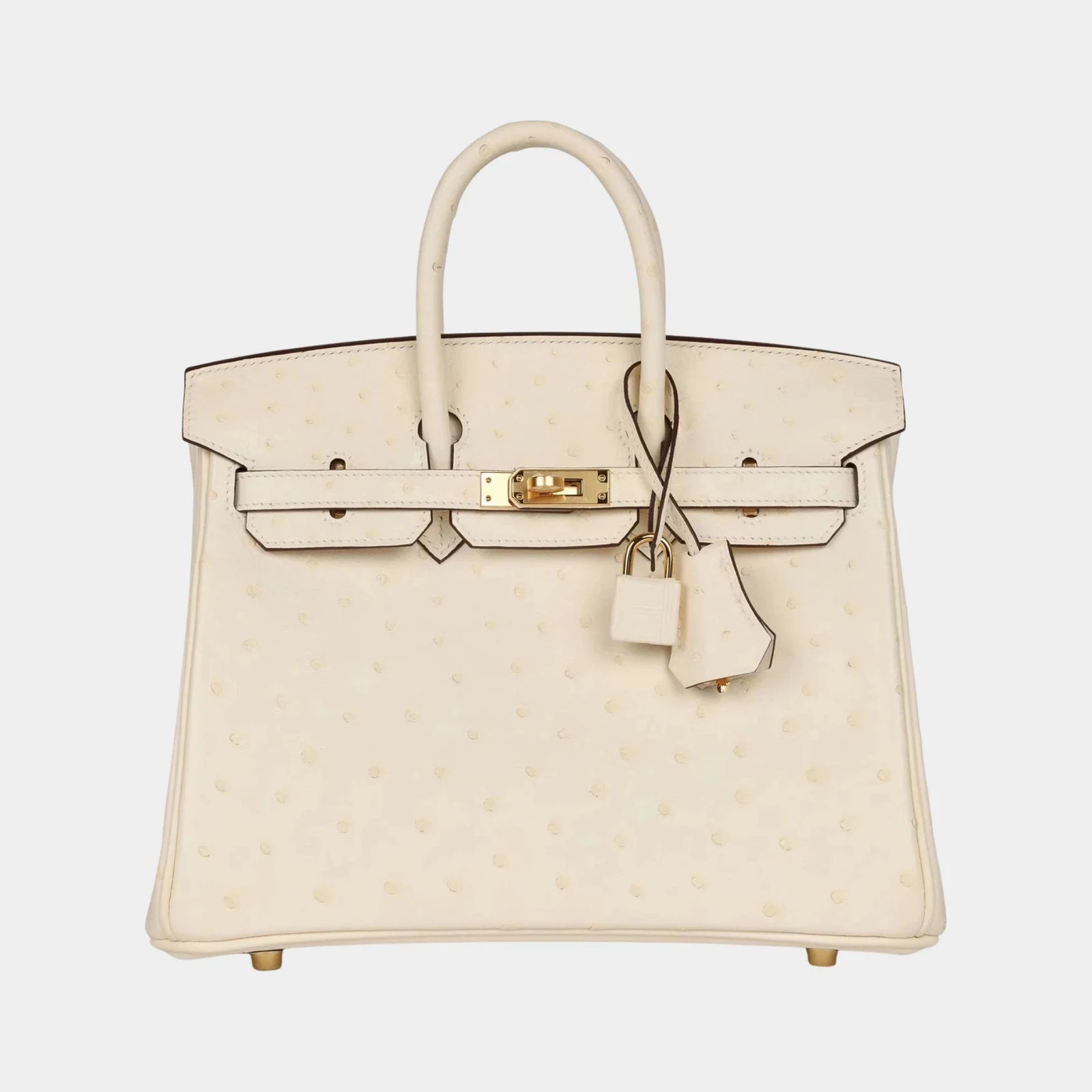 Hermès Birkin 25 Ostrich Nata GHW